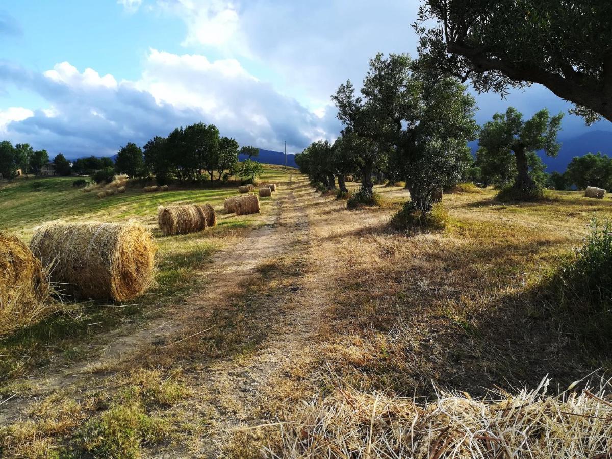 רנדה La Dimora Di Radha B&B Centro Olistico מראה חיצוני תמונה